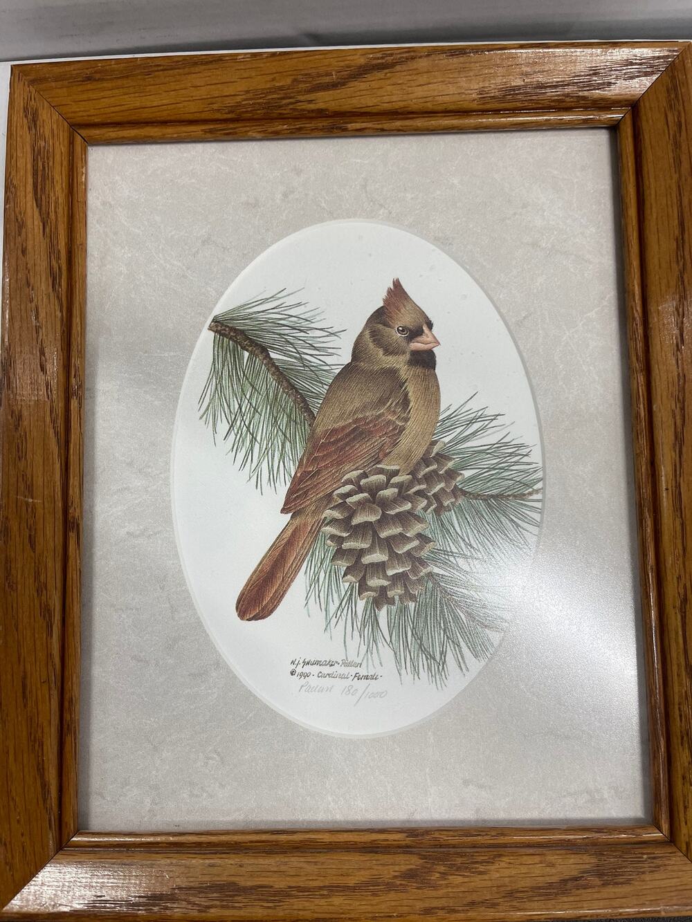 Lithography cardinal Female Nancy Shumaker Pallan #180/1000 Framed